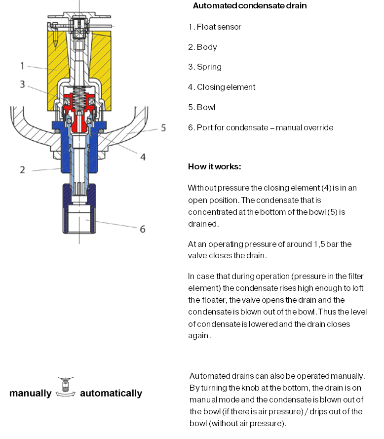 Automated condensate drain